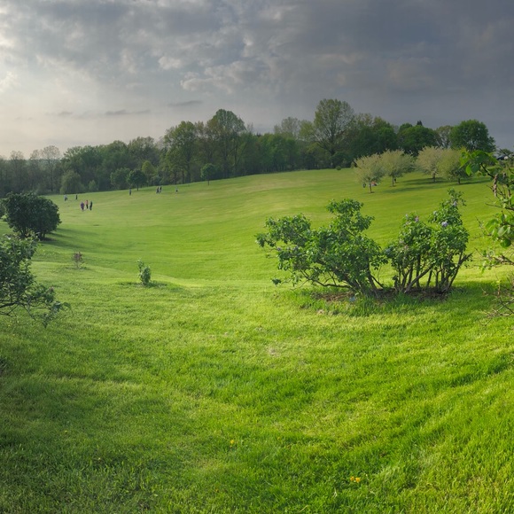 Meet your Posher, Mira - Picture 1 of 1